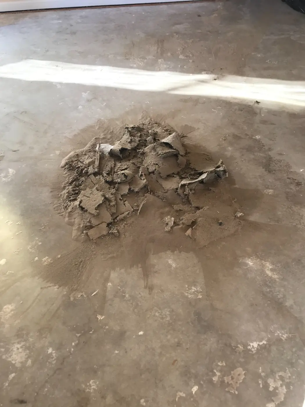 Close-up of a pile of dust and debris swept up off the bare concrete floor