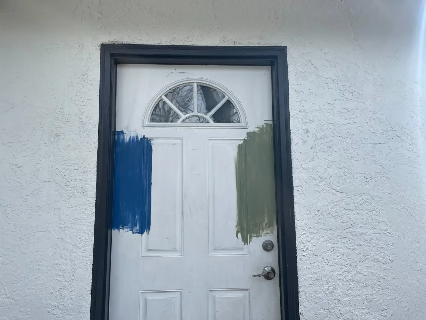Testing paint swatches on the front door before committing to a color